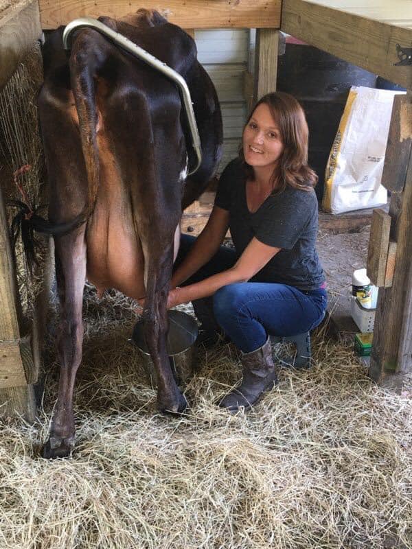 donna milking a cow