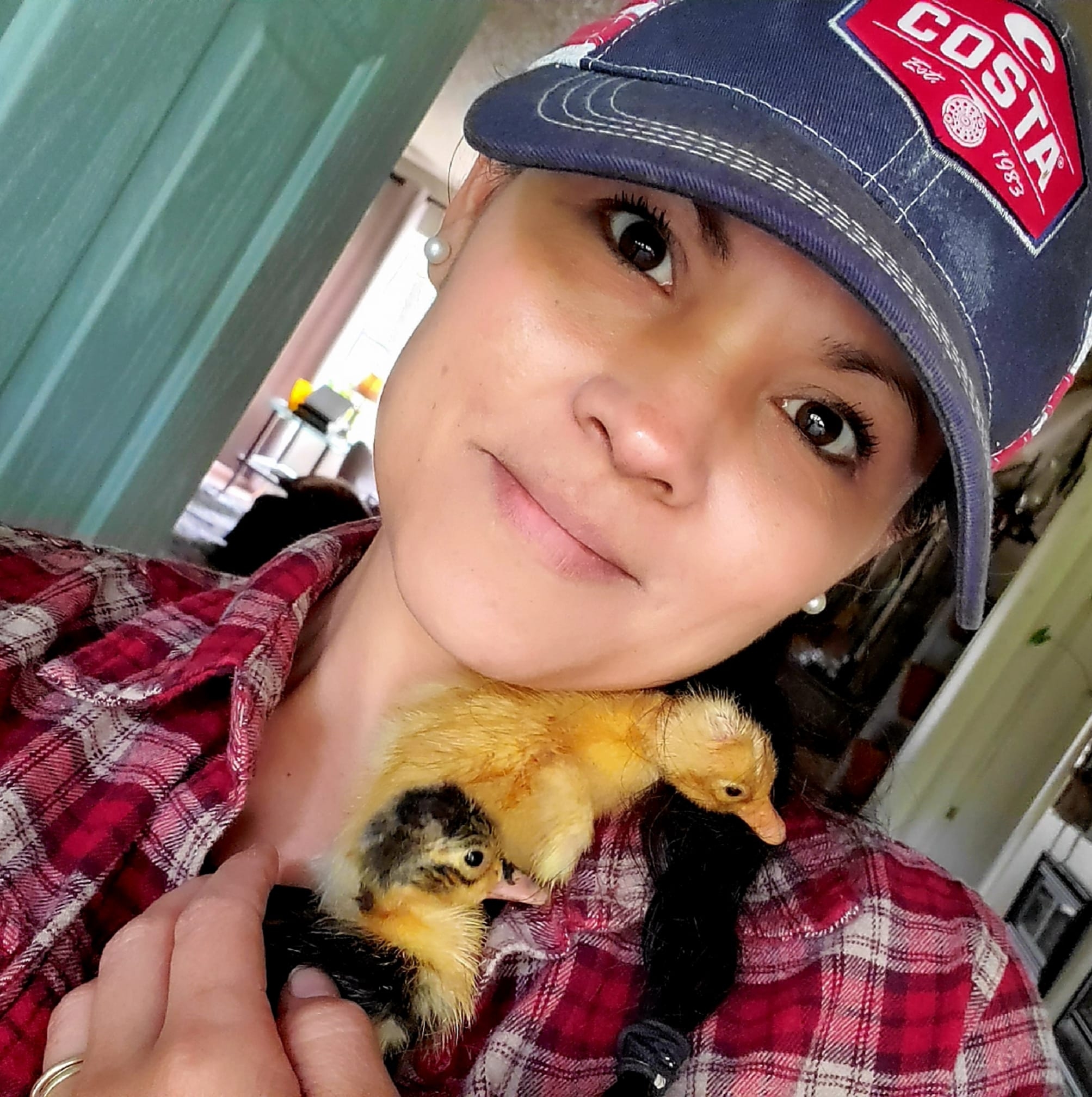 tiffiny snuggling baby chicks